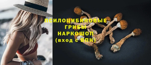 соль курить ск Богородицк