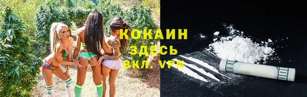 a pvp Богданович