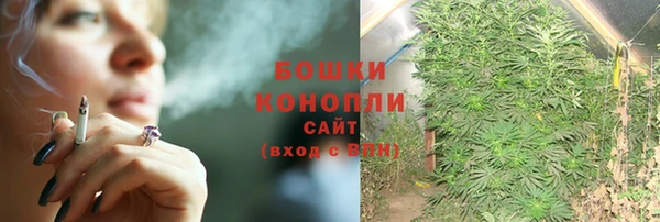 spice Балахна