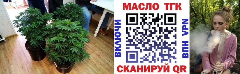 Дистиллят ТГК THC oil  купить наркотики цена  МЕГА как зайти  Магас 