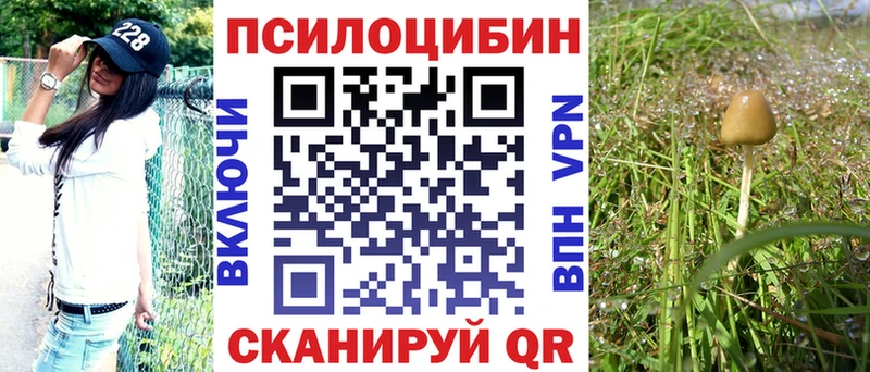 Галлюциногенные грибы Psilocybe  Магас 